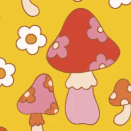 Mushrooms2_Daisy