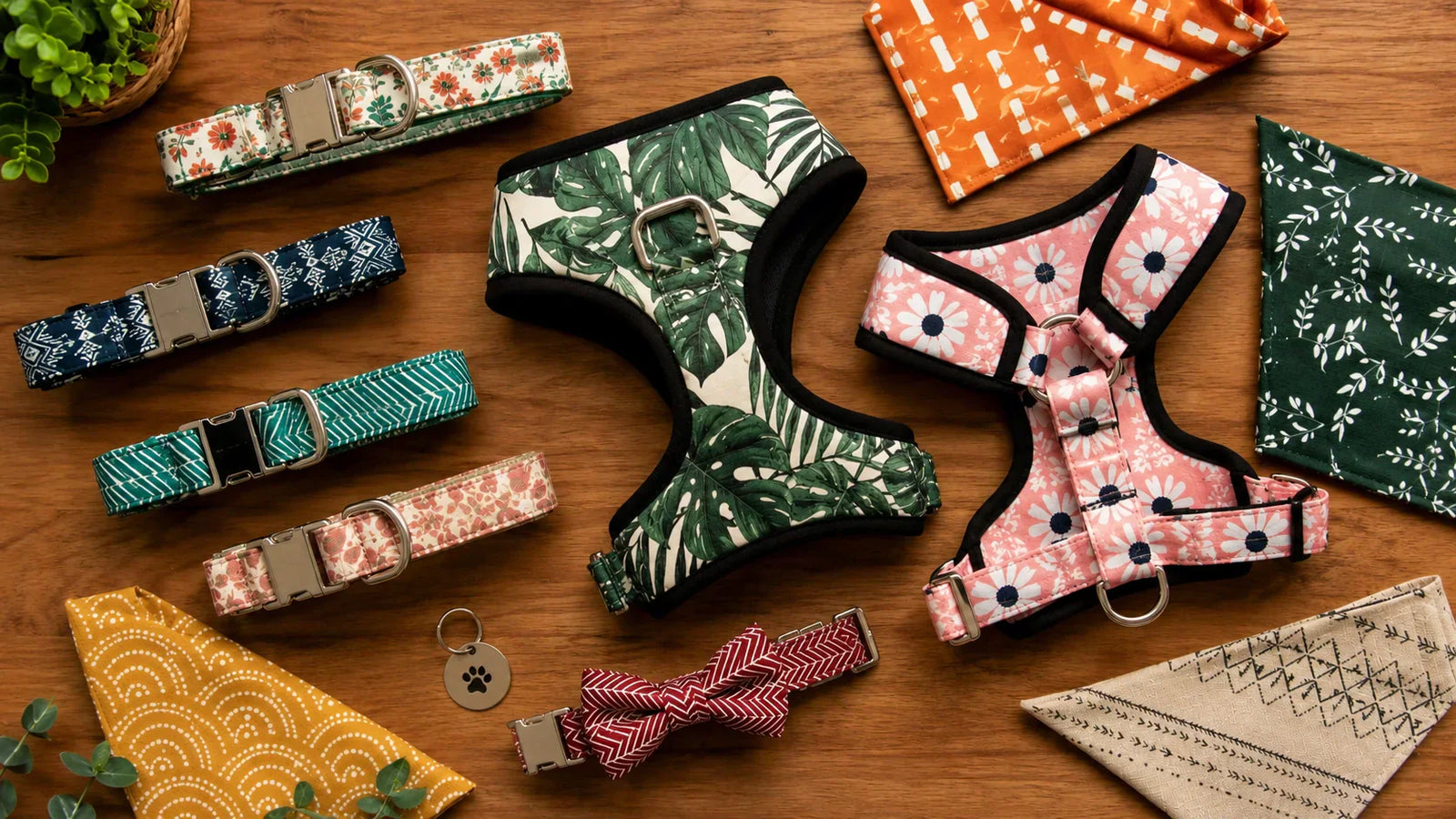 Want to offer custom pet accessories in your boutique? Here's how