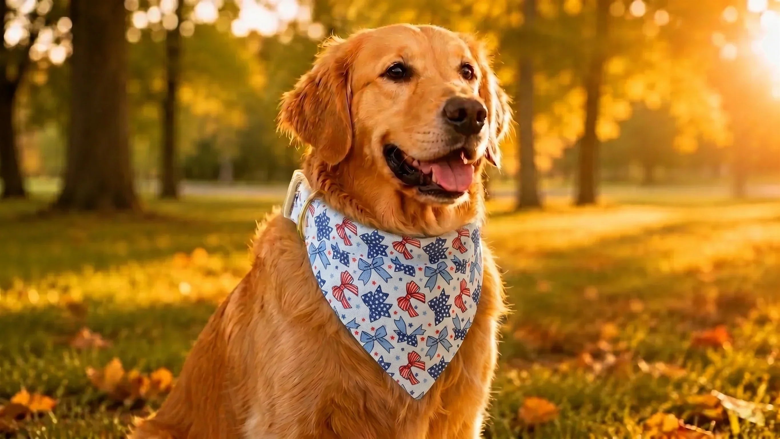 Dog bandanas: Styles, uses, and how to tie one on your pup