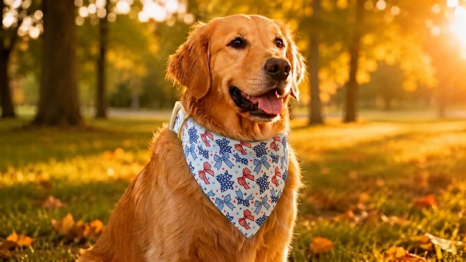 Dog bandanas: Styles, uses, and how to tie one on your pup