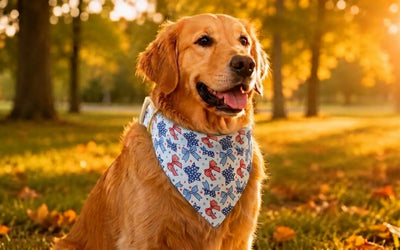 Dog bandanas: Styles, uses, and how to tie one on your pup