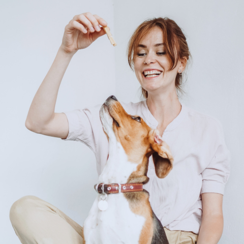 Helthy organic treat recepy for your dog: DIY Recepy