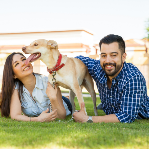 5 Creative ways to celebrate earth day with your dog