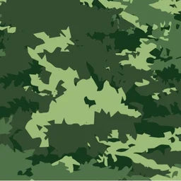 CAMOUFLAGE