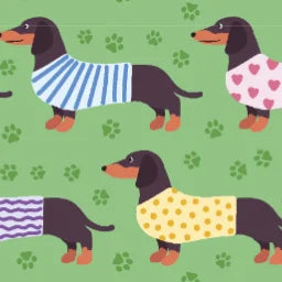 DOG BREEDS