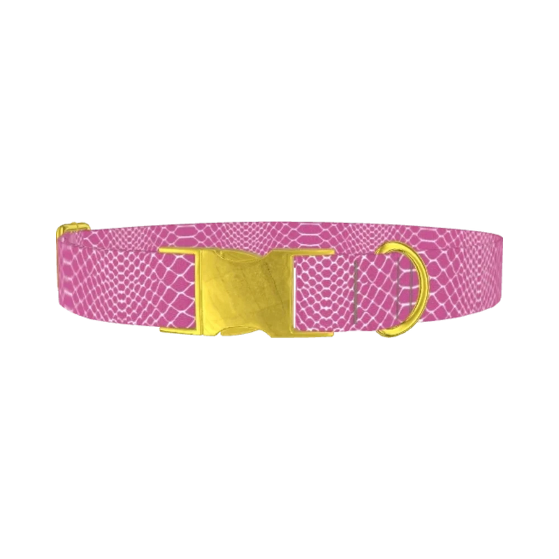 Pink Snake Pattern Dog Collar - metal gold