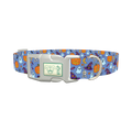 Blue Halloween Witch Hat Dog Collar - plastic silver