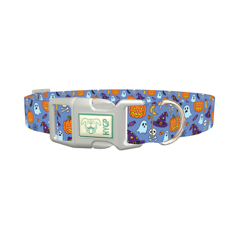 Blue Halloween Witch Hat Dog Collar - plastic silver