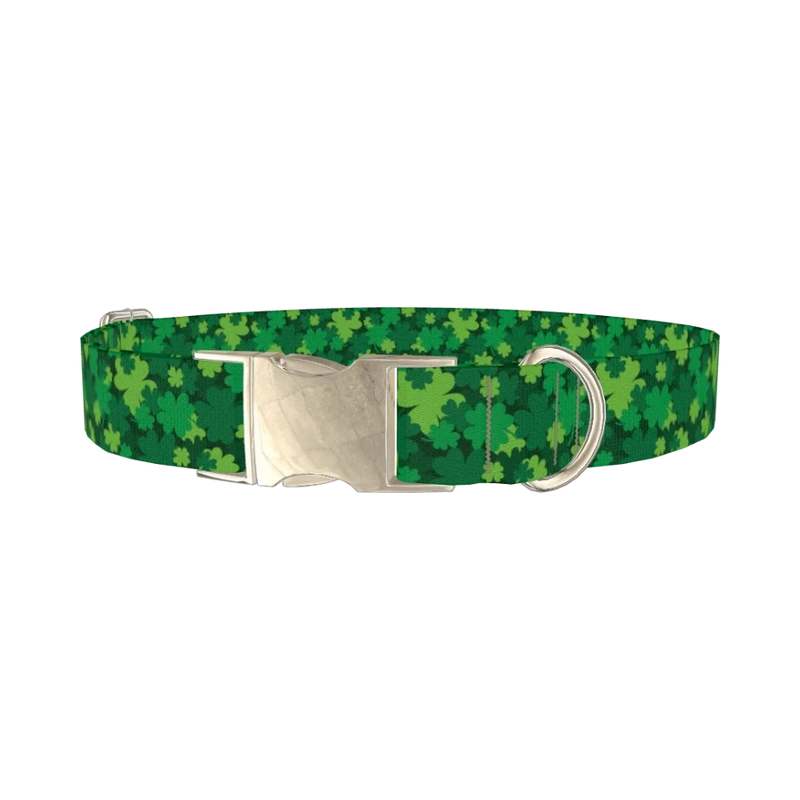 St Patrick's Clover Dog Collar - metal silver