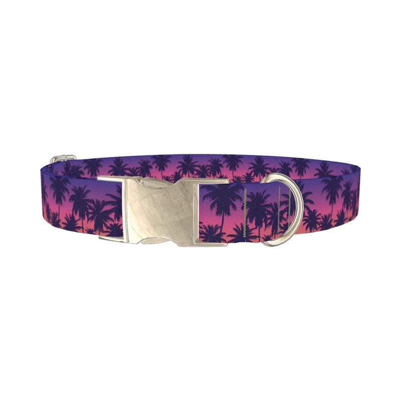 Tropical Sunset Dog Collar - metal silver