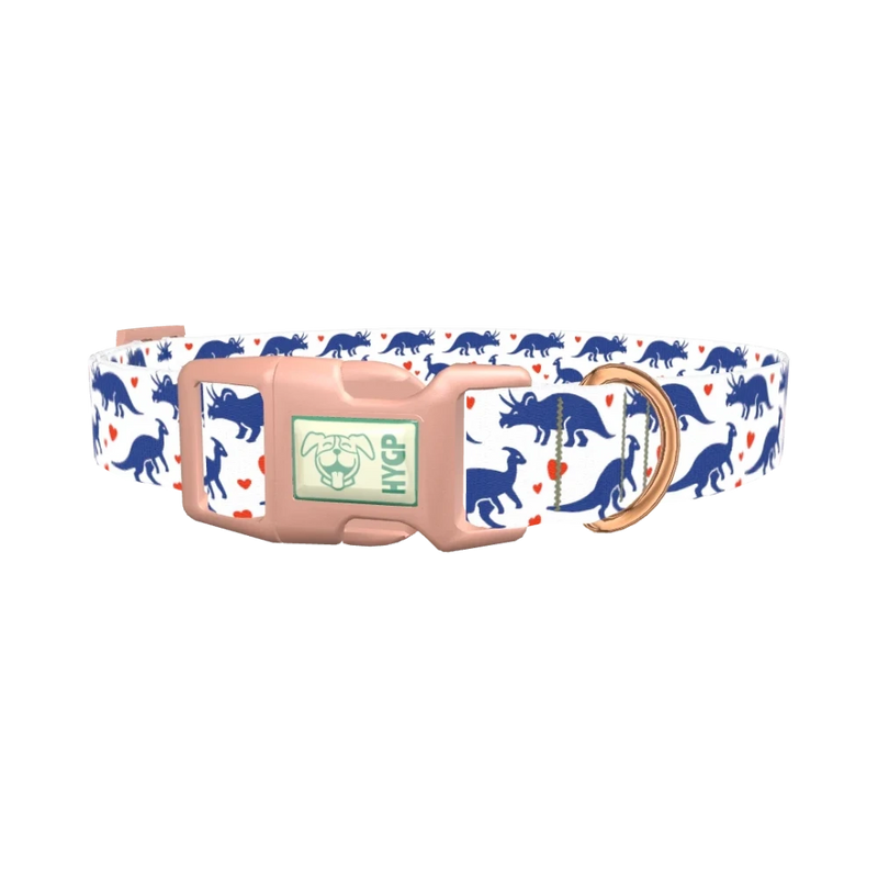 Dinosaur Heart Dog Collar - plastic rose gold