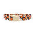 Pumpkin Patch Dog Collar - plastic rose gold