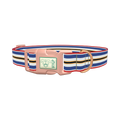 Patriotic Stripe Dog Collar - plastic rose gold