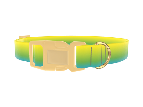 Gradient Dog Collar