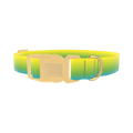 Gradient Dog Collar - plastic gold