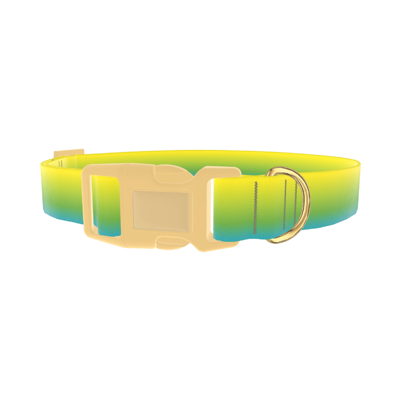 Gradient Dog Collar - plastic gold