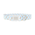 Rainbow Pattern Dog Collar - plastic silver
