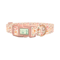 Fall Pumpkin Outline Dog Collar - plastic rose gold
