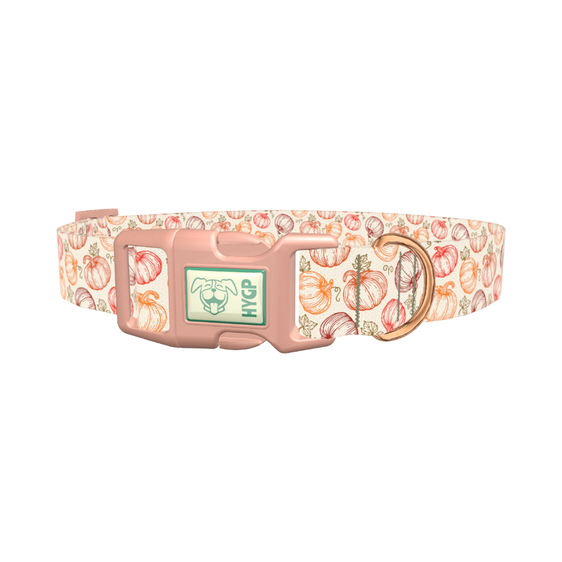 Fall Pumpkin Outline Dog Collar - plastic rose gold