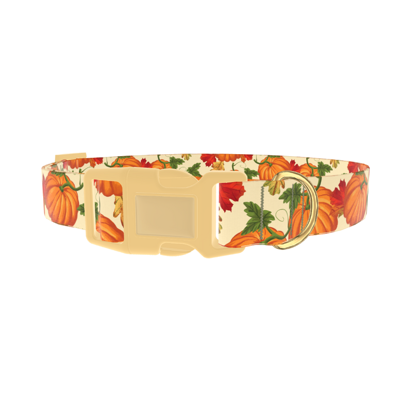 Autumn Pumpkin Dog Collar - plastic gold