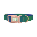 Gradient Blue Dog Collar - plastic rose gold