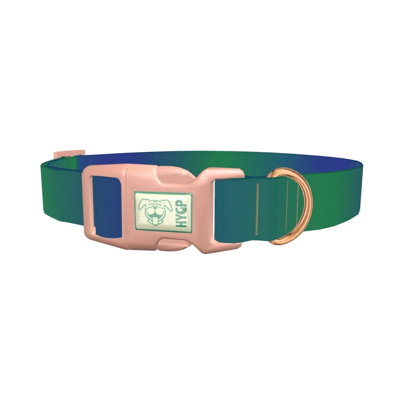 Gradient Blue Dog Collar - plastic rose gold