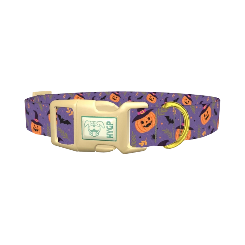 Halloween Witchy Pumpkin Dog Collar - plastic gold