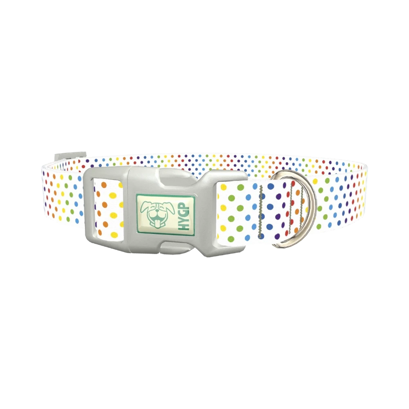 Rainbow Polka Dot Dog Collar - plastic silver
