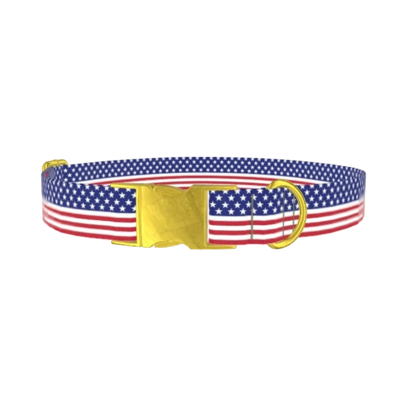 Patriotic Stars Dog Collar - metal gold