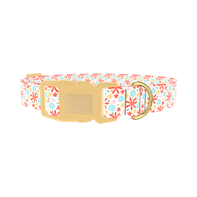 Colorful Bloom Dog Collar - plastic gold
