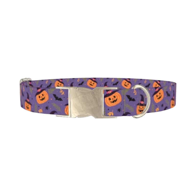 Halloween Witchy Pumpkin Dog Collar - metal silver