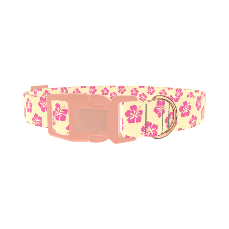 Floral Hibiscus Dog Collar - plastic rose gold