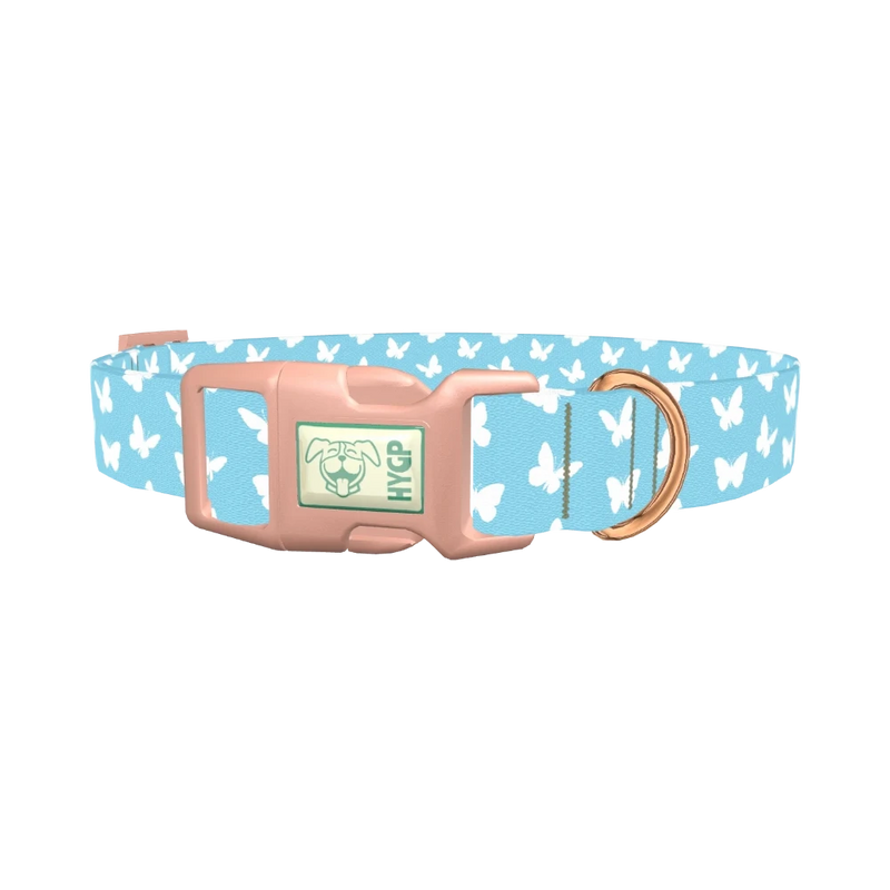 Sky Blue Butterfly Dog Collar - plastic rose gold