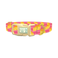 Pink Cheese Slice Dog Collar - plastic gold