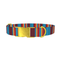 Colorful Stripe Dog Collar - metal gold