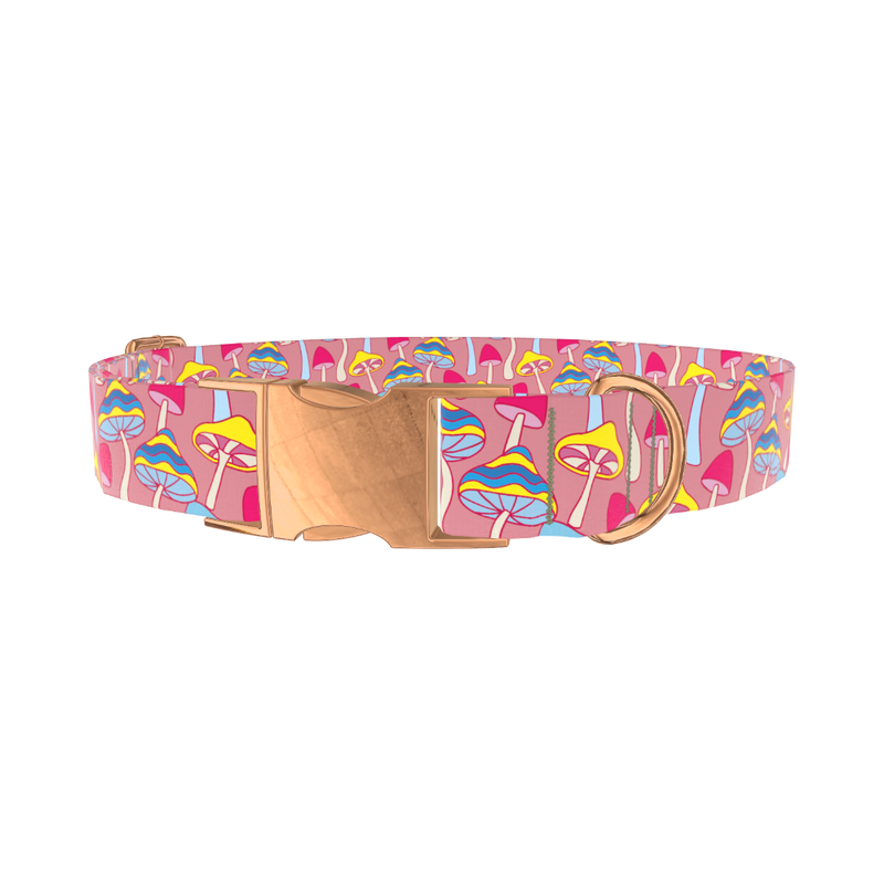 Colorful Mushroom Field Dog Collar - metal rose gold