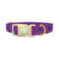 Purple Tie-Dye Dog Collar - plastic gold