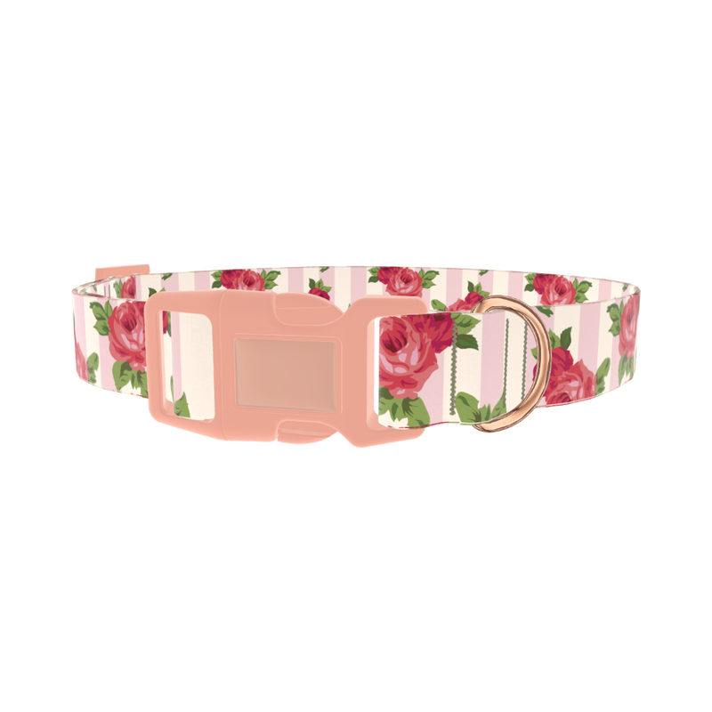 Striped Rose Pattern Dog Collar - plastic rose gold