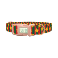 Christmas Stars and Stripes Dog Collar - plastic rose gold