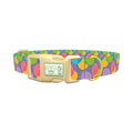 Easter Egg Dog Collar - plastic gold
