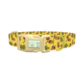Fall Acorn Dog Collar - plastic gold