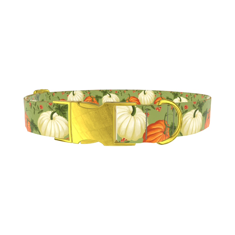 Pumpkin Floral Dog Collar - metal gold