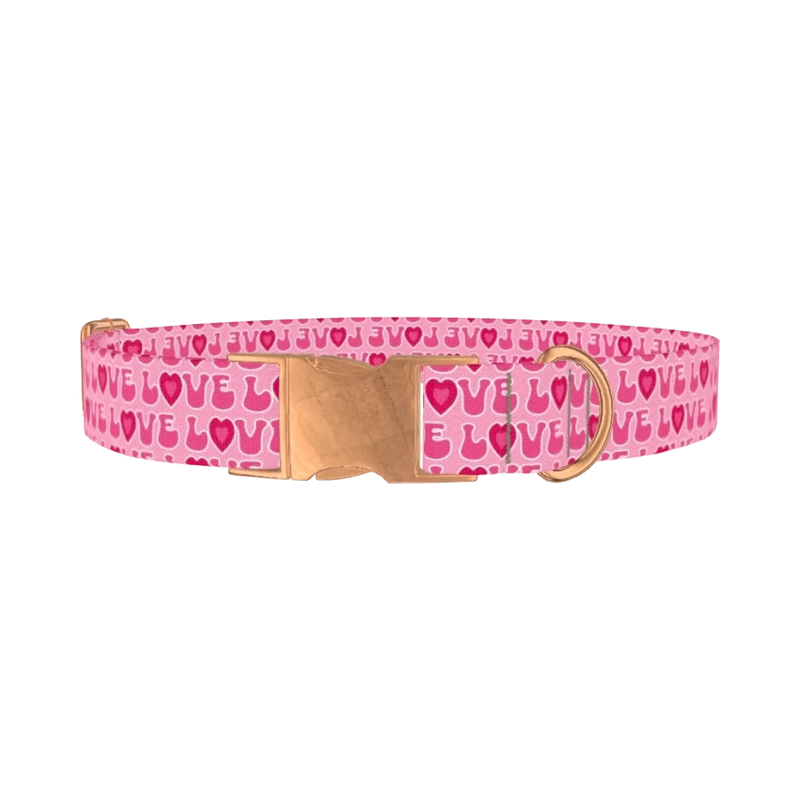 Valentine Love Dog Collar - metal rose gold