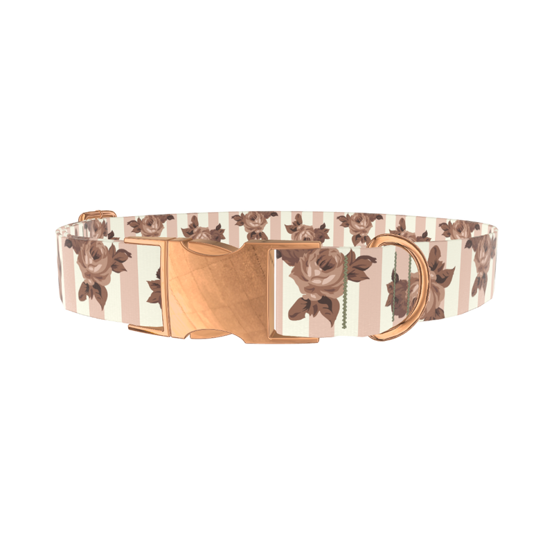 Floral Stripe Dog Collar - metal rose gold