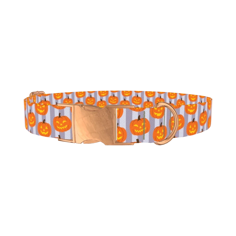 Halloween Pumpkin Stripe Dog Collar - metal rose gold