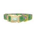 Tie Dye Spiral Dog Collar - plastic gold
