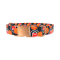Basketball Court Dog Collar - metal silver