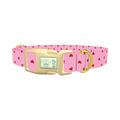 Red Heart Pink Background Dog Collar - plastic gold