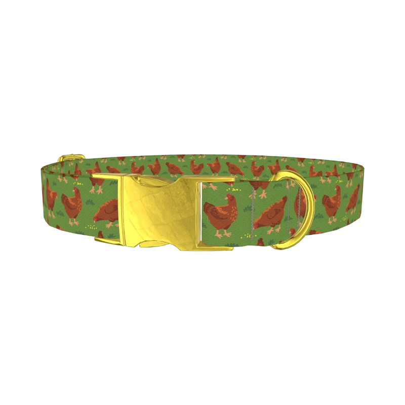 Chicken Farm Dog Collar - metal gold