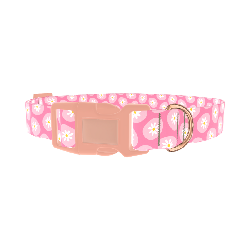 Easter Egg Daisy Dog Collar - plastic rose gold